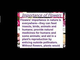 importance of flowers you