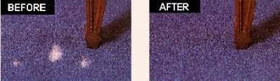 carpet dye repair and restoration in
