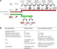 protocol for preparing adhe cells