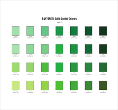 6 Pantone Color Chart Templates Doc Pdf Free Premium
