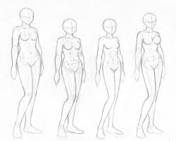 Female body shape or female figure is the cumulative product of a woman's skeletal structure and the quantity and distribution of muscle and fat on the body. Body Sketch Reference Max Installer