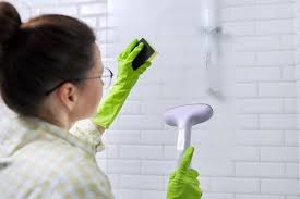 Can You Steam Clean Glass Shower Doors