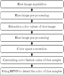 Figure 2 From A Detection Method Of Rice Process Quality