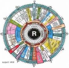 Iridology Iridology What Do Your Eyes Say About You And