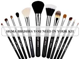 sigma eye brushes