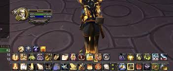 They can be just as powerful as protection warriors, if not more in certain situations. Holy Paladin Pvp Keybinds Paladin World Of Warcraft Forums