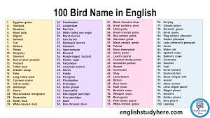 100 birds name in english english