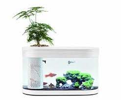 With its appealing modern design, this fish tank is definitely a joy to watch. Sheebo 2 5 Gallon Modern Aquarium Kit Small Amphibious Ecology Fish Tank With 632138675005 Ebay