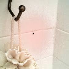 why are there bugs in my bathroom