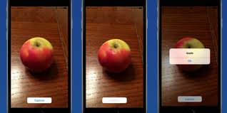 This image recognition app lets you control the calories in your food. How To Build An Image Recognition App In React Native In 30 Minutes Dev Community