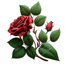 red rose flower with green leaf