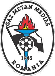 Liga i, played sunday, july 25th, 2021. Fc Gaz Metan Medias Logo Vector Cdr Free Download
