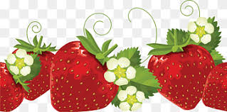 fruit border png images pngwing