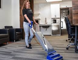 professional cleaning janitorial services