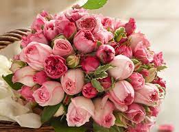 flowers flower rose bouquet pink
