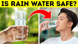 drink rainwater 20 cool body facts
