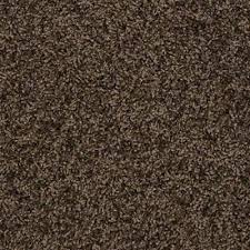 wish list buckskin carpet