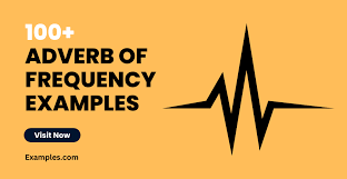 100 adverb of frequency exles how