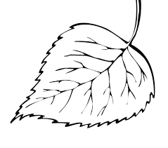 Printable Leaf Coloring Pages Immediately Pictures Of Leaves To
