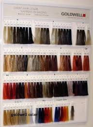 Level 4 Red Hair Color Elegant Goldwell Color Chart Formula