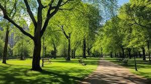 green park stock photos images and