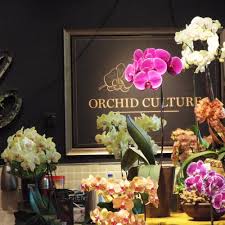 msian orchids in ra