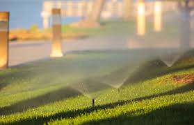 One of the most important steps in a lawn renovation is watering your lawn lightly and frequently while we wait for the new seed to germinate. How To Water After Aeration And Overseeding Or Power Seeding Tips For Strong New Grass In Northern Va