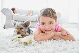the best carpet cleaning company in reno nv