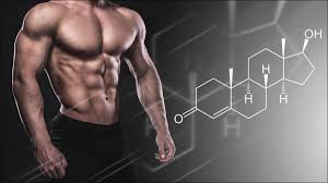best anabolic steroids top steroids