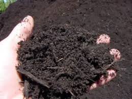 How To Prepare Soil For Garden Plant