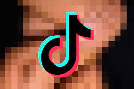 TikTok has accidentally conquered the ...