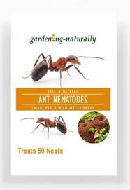 ant nematodes treats 50 nests from