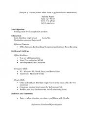 Sample Resume With One Job Experience   Free Resume Example And                  