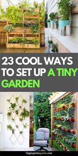 Tiny Garden For Your Apartment