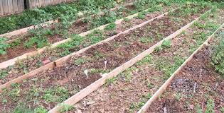 Raised Bed Vegetable Garden On A Slope