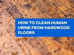clean human urine from hardwood floors
