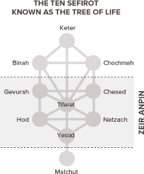 The Kabbalah Centre What Is The Tree Of Life