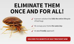 bed bug heater to get rid of bed bugs