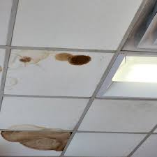 water damage from a roof leak at your