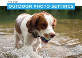 Settings For Outdoor Photography