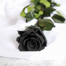 luxury preserved black single rose gift