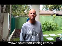 apex carpet cleaning you