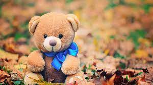brown teddy bear with blue ribbon in