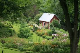 Midsummer Garden Daylilies Phlox