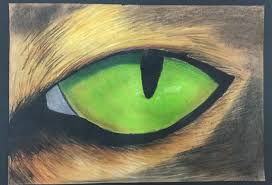 You can also see masterfully designed charcoal drawings. Animal Eyes In Grade 7 Mrs Jardin S Art Room