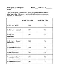 Prokaryotes Vs Eukaryotes Graphic Organizer