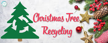 recycle christmas trees in north texas