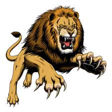 lion drawing images browse 352 097