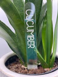 Acrylic Plant Markers Clear Garden