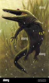 Mastodonsaurus, an extinct genus of temnospondyli amphibian from the Middle  Triassic Stock Photo - Alamy